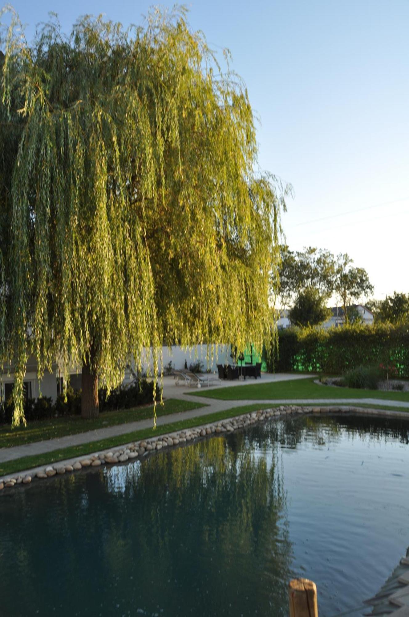 Kirchers Park & Wellnesshotel Kaiserstuhl Garni Endingen am Kaiserstuhl Kültér fotó